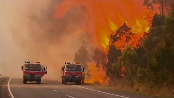 Hvorfor Er Der Skovbrande I Australien