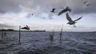 20100108-234440-6-1000x666-we.jpg