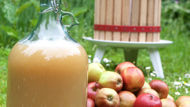 Hjemmebrygget cider i en stor glasflaske og en bunke af æbler ved siden af