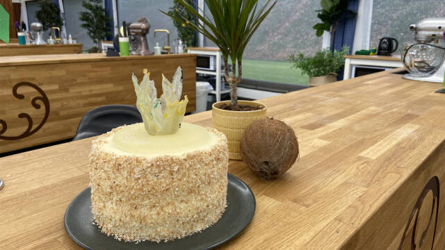 Kage, der ligner en ananas og er pakket ind i kokos.