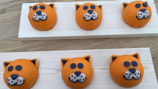 orange kager, der ligner katte på træfade