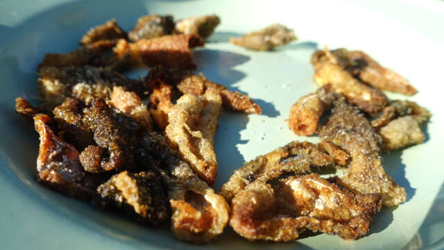 sprødtstegt fiskeskind