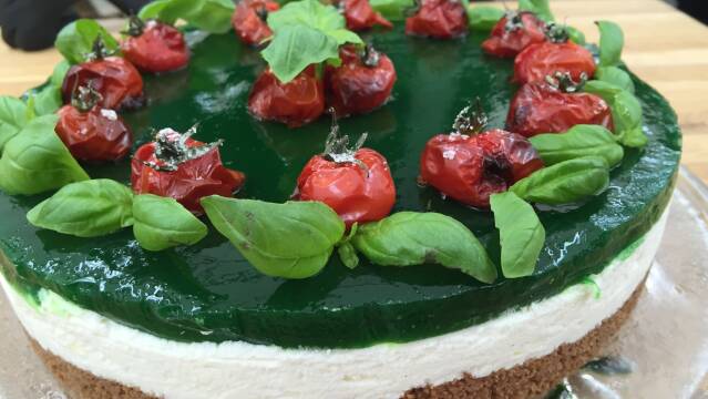 Gunnars cheesecake med tomater og basilikum