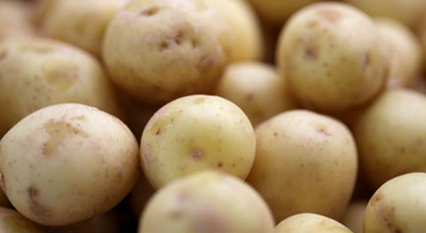 Billede af nye danske kogte kartofler