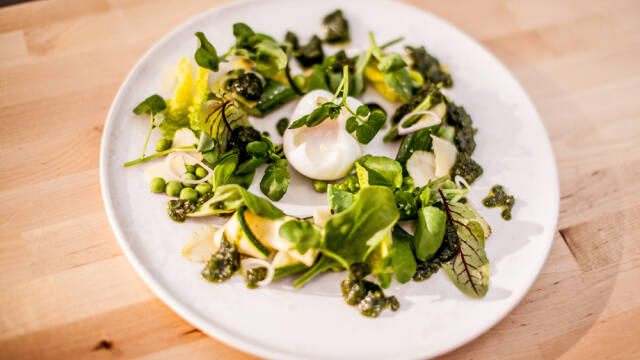Grøn salat med pocheret æg