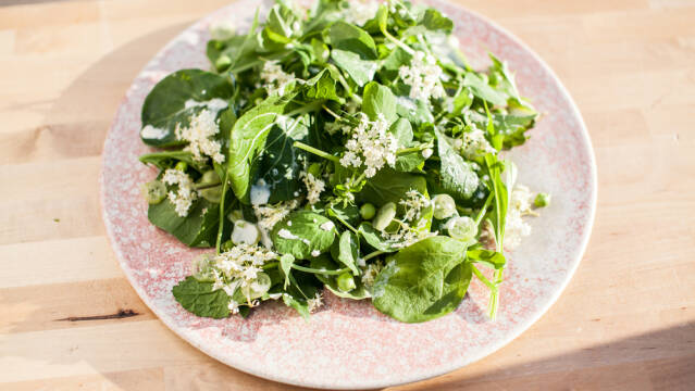 Grøn salat med mormordressing