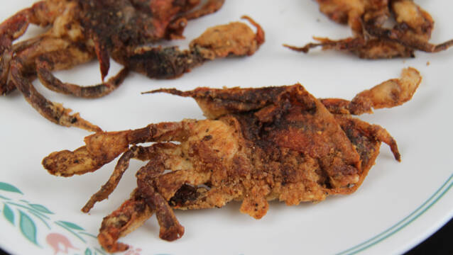 Knasende sprøde softshell krabber