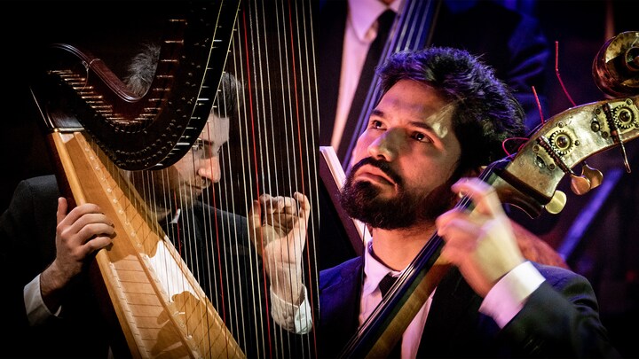 Solobassist og soloharpenist indledte koncert med at få mindepris