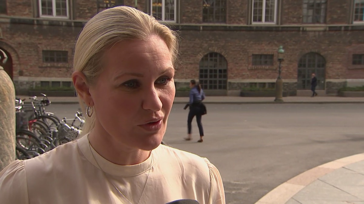Venstre vil i dialog om øget støtte til Team Danmark | Sport | DR