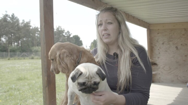 GODE RÅD: Det skal du holde øje med når du køber hund