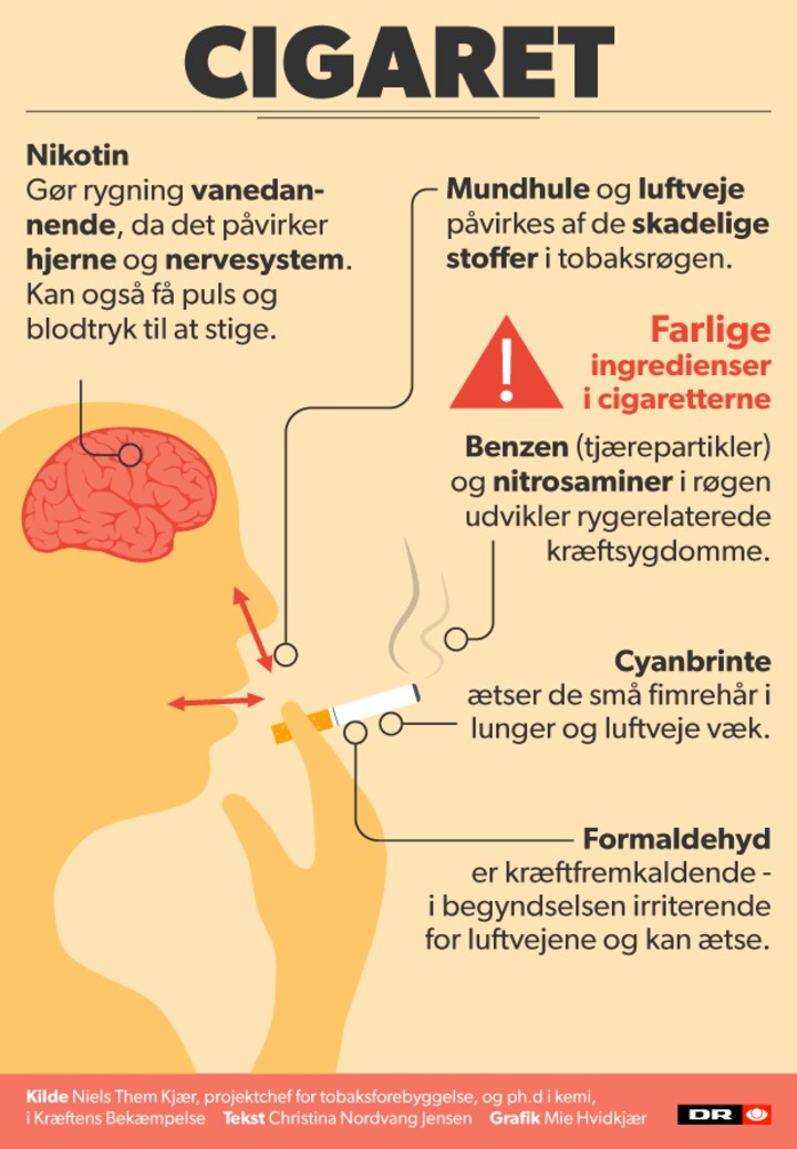 GRAFIK Sådan skader rygning dit helbred | Krop | DR