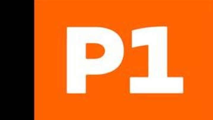P1 Dokumentar beklager