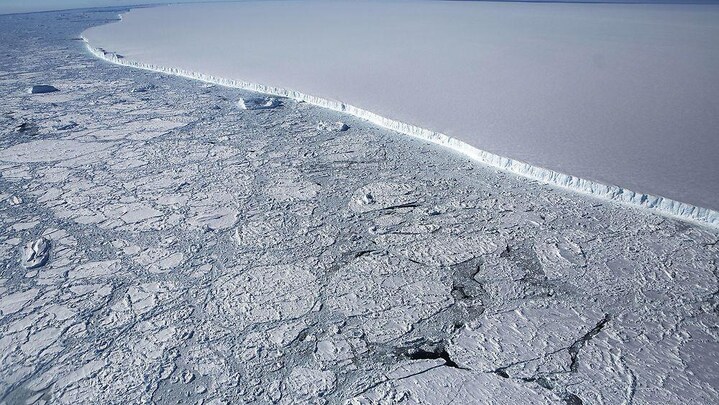 4 typer: Sådan reagerer du på klimaforandringerne