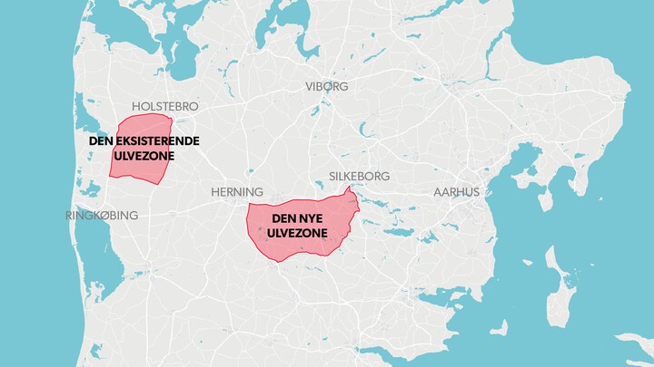 Ulve i Danmark | DR