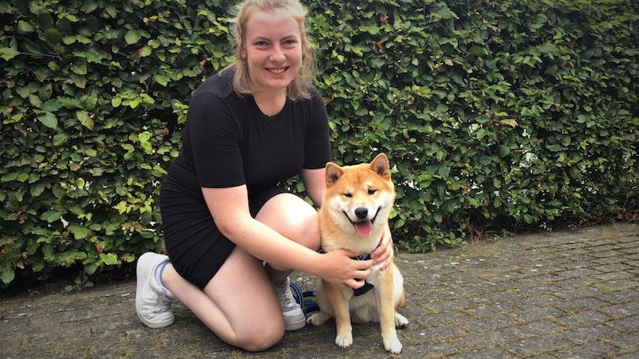 Flere hunde købt under corona er angste for at være alene hjemme: ’Han hyler og skriger, når vi går’