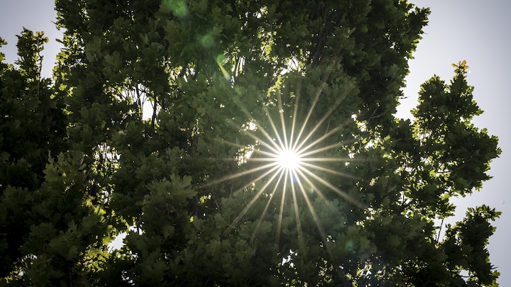 Læsning til din sommer