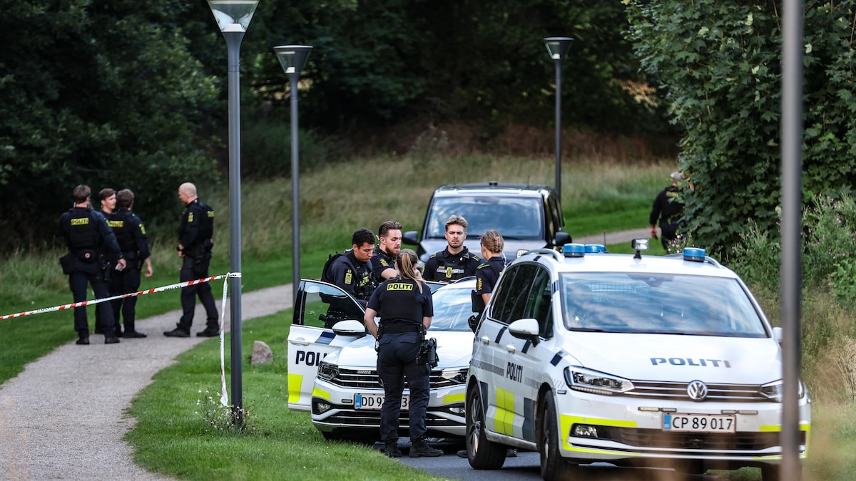 Billedet i artiklen