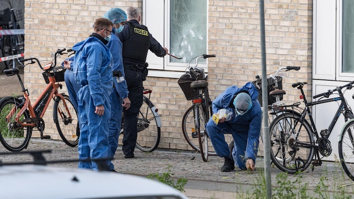 Billedet i artiklen