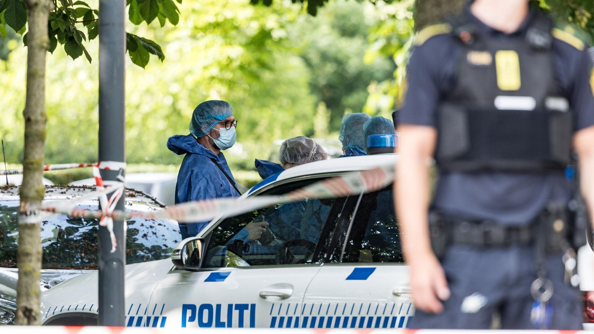 Billedet i artiklen