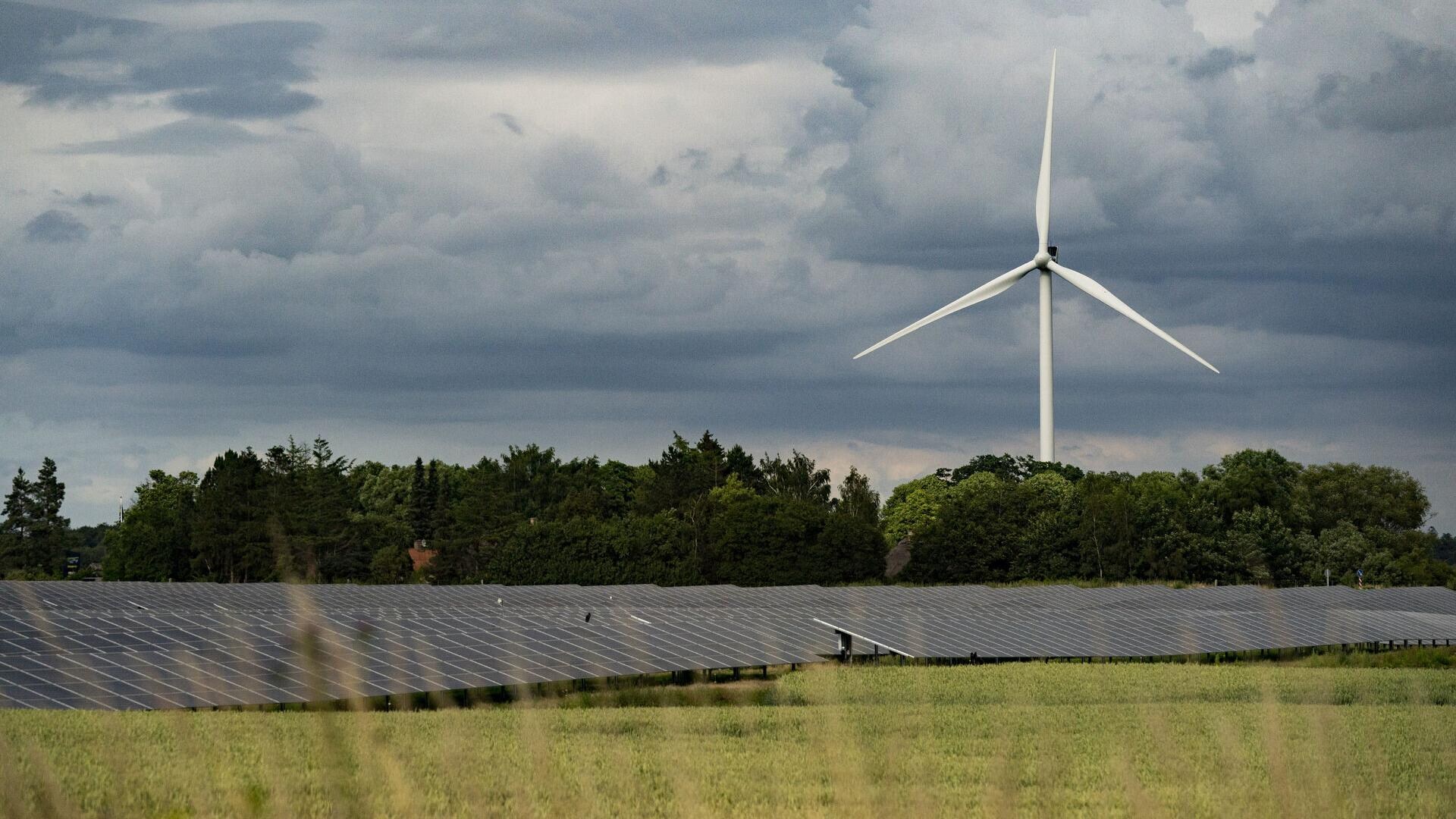 Silkeborg Kommune Siger Nej til Statslig Energipark: Et Prisbelønnet Projekt Er Nu I Fare