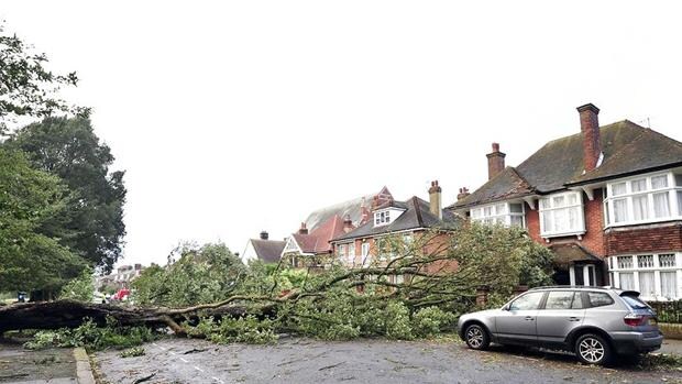 Faldende træer dræber flere i England | Udland | DR