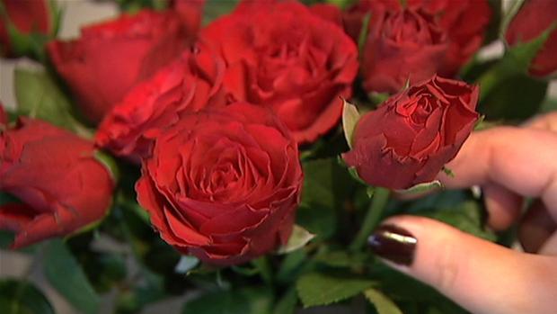 Danske roser truet af rublens nedtur | Fyn | DR