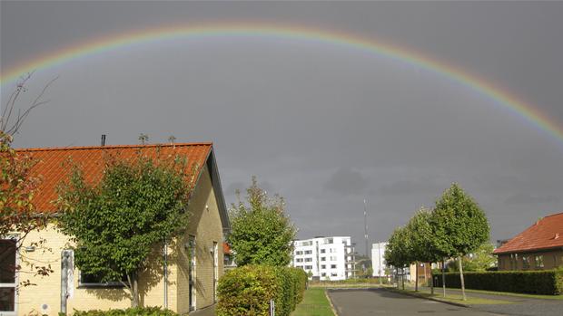 BILLEDSERIE: Se de flotte regnbuer | Historier i billeder | DR
