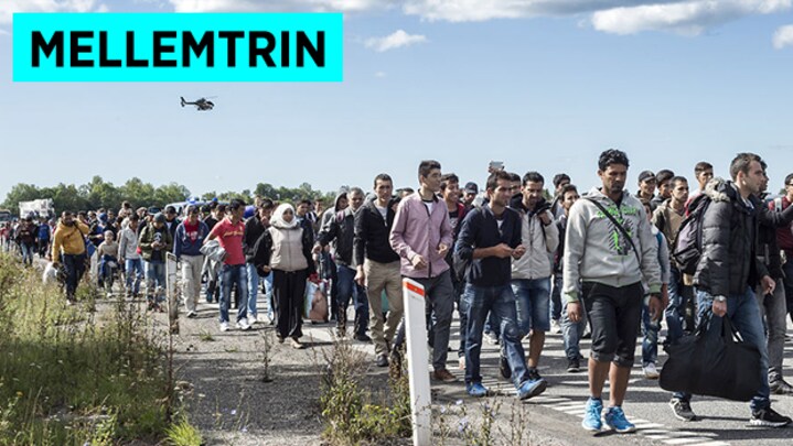 Flygtninge i Danmark