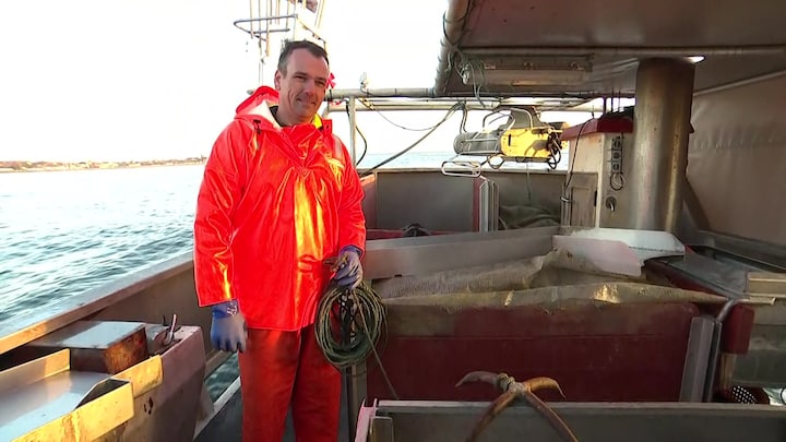 Garnfisker: Kvotekongestop giver mere havneliv og dagfanget fisk