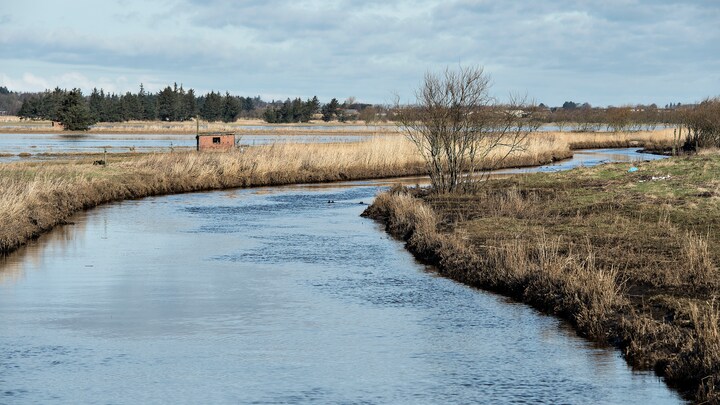 Forkert titel på forsker