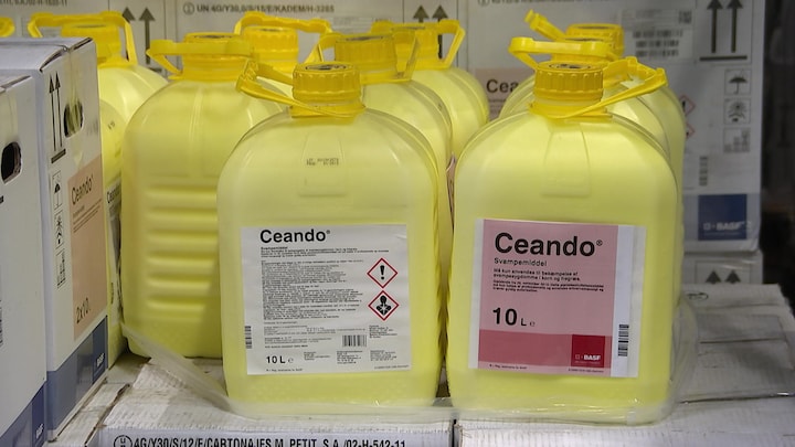Skadelig rest fra populære svampemidler kan sive ned til grundvandet