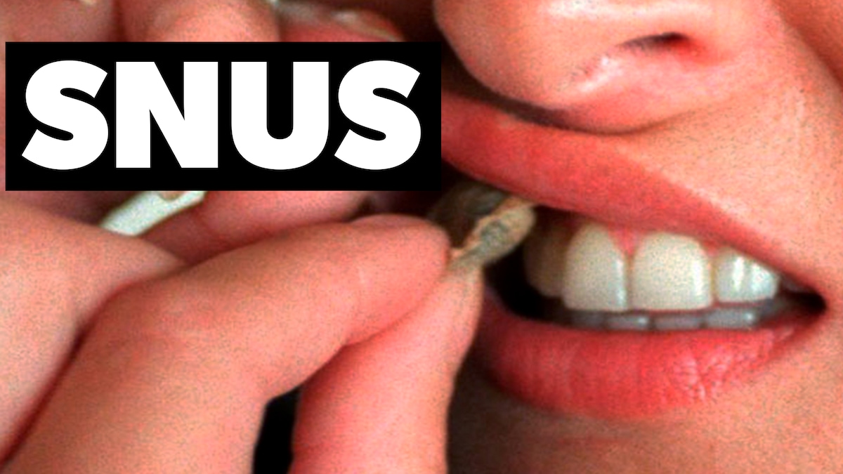 Video: Her er det, du skal vide om snus | Indland | DR
