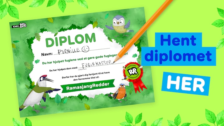 Download dit diplom her
