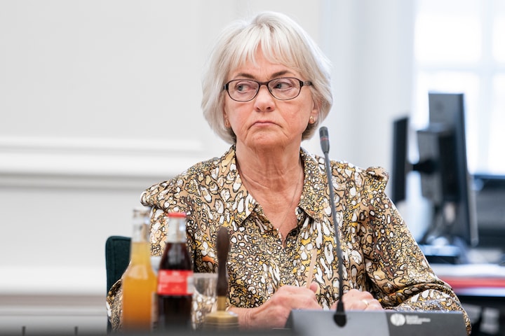Pia Kjærsgaard efter slingrekurs and parttoppen: Danmark skal ud af EU | Քաղաքական | Դոկտ