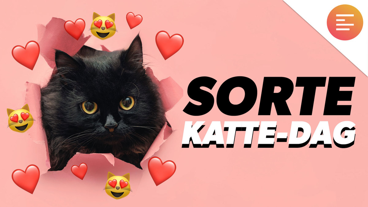 Katte Sort 7, 9, 13! I DAG ER DET SORTE KATTE-DAG | Ultra Nyt | DR