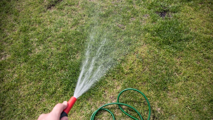 Er din græsplæne også sveden? Sådan vander du din have under tørke