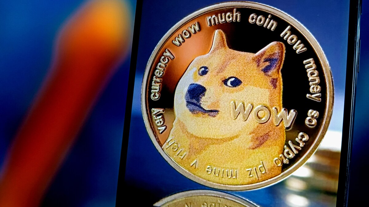 Viral hund kendt fra kryptovaluta er død | Nyheder | DR
