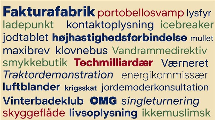 Den Danske Ordbog risikerer at løbe tør for penge: 'Det kan vi som ...