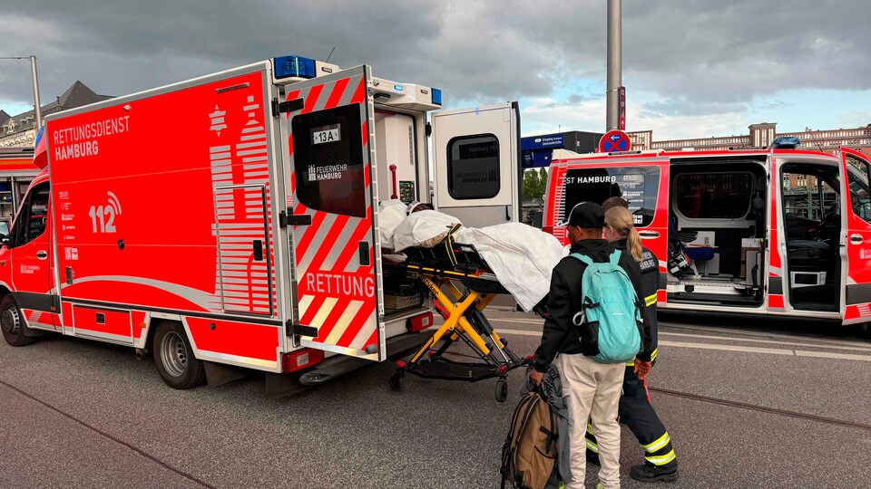 ISLAMIC TERROR AGAIN? 18 STABBED, 3 DEAD IN HAMBURGER HAUPTBAHNHOF ATTACK! WOMAN ARRESTED [German article, use a browser extension for instant translation] ⚠️