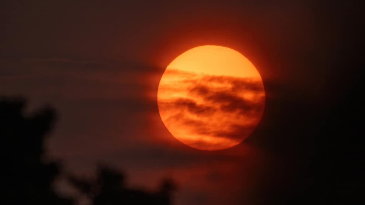 Røg fra canadiske skovbrande giver rød sol over Danmark | Vejret | DR