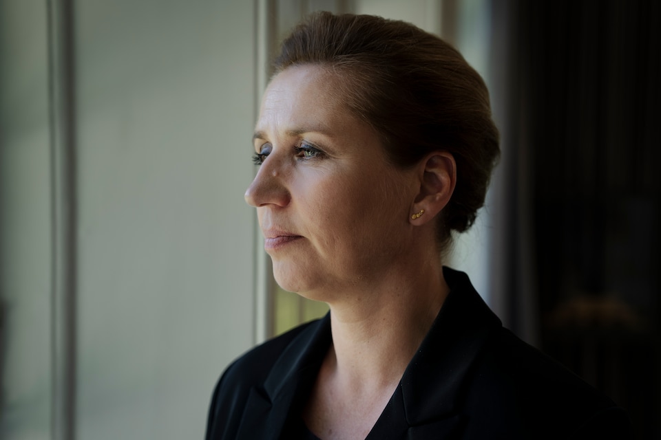 DANISH PM MAY MEET EU’S PRIMARY ENEMY, HITLER-PRAISING FELON DONALD TRUMP, AT NATO MEETING [Danish article, use a browser extension for translation] 🔥