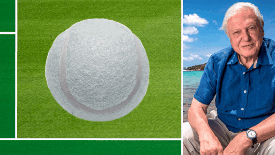 Tennisboldens Utrolige Farvehistorie: Fra Hvid til Gul – En Biologs Afgørende Rolle