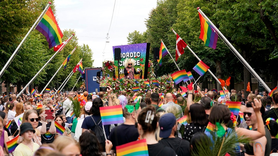 SHOCK STUDY: 83.3 PERCENT OF MALE DANISH MUSLIMS ARE MEDIEVAL HOMOPHOBES WHO DON’T ACCEPT SEX BETWEEN TWO MEN! DEEP MINK was skeptical about the result and contacted the scientists, but they confirmed the disgusting number [Danish article, use a browser extension for translation] 🤮