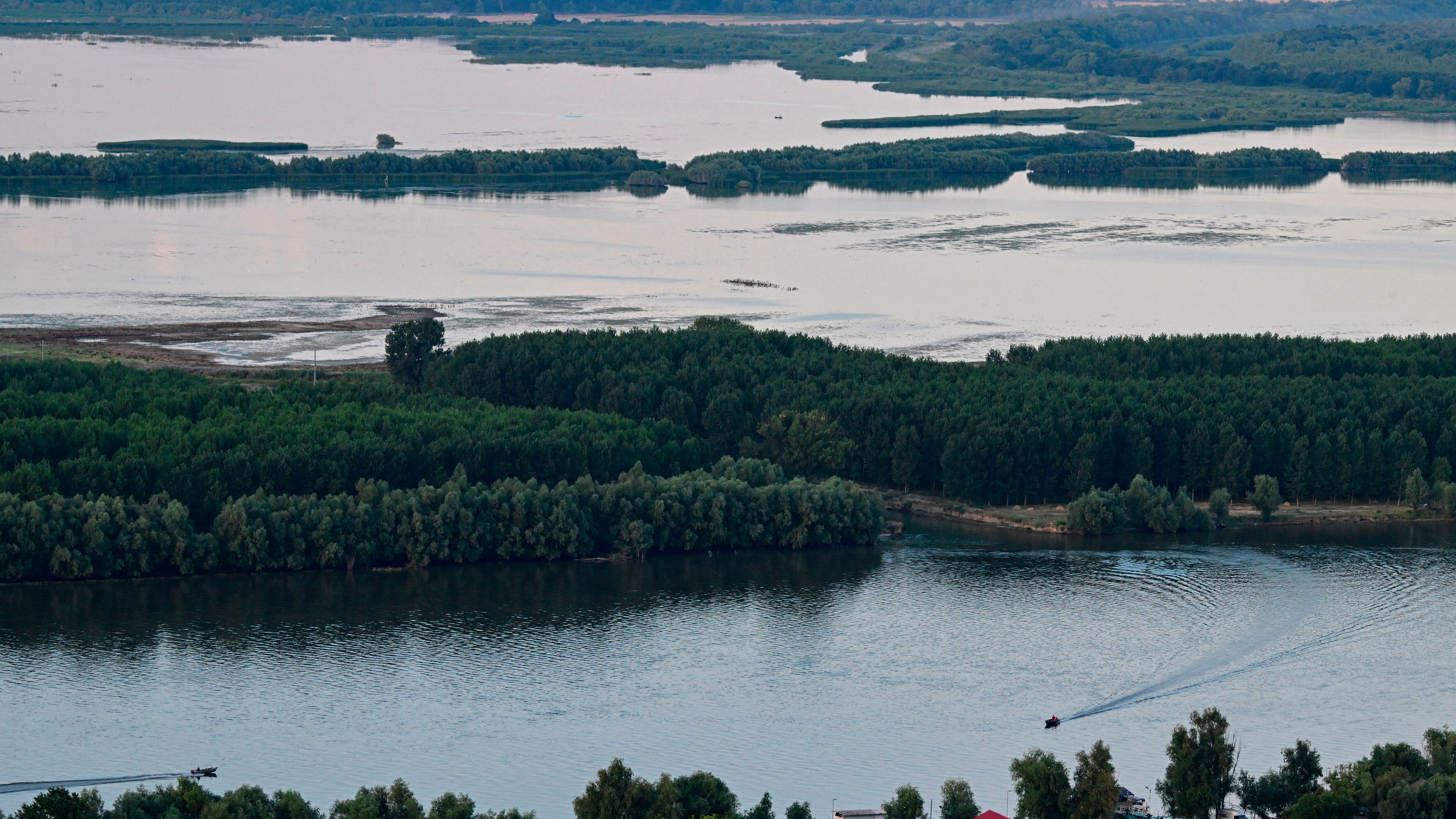 Tragedie på Donau-deltaet: Fire Personer Omkom i Bådkæntring
