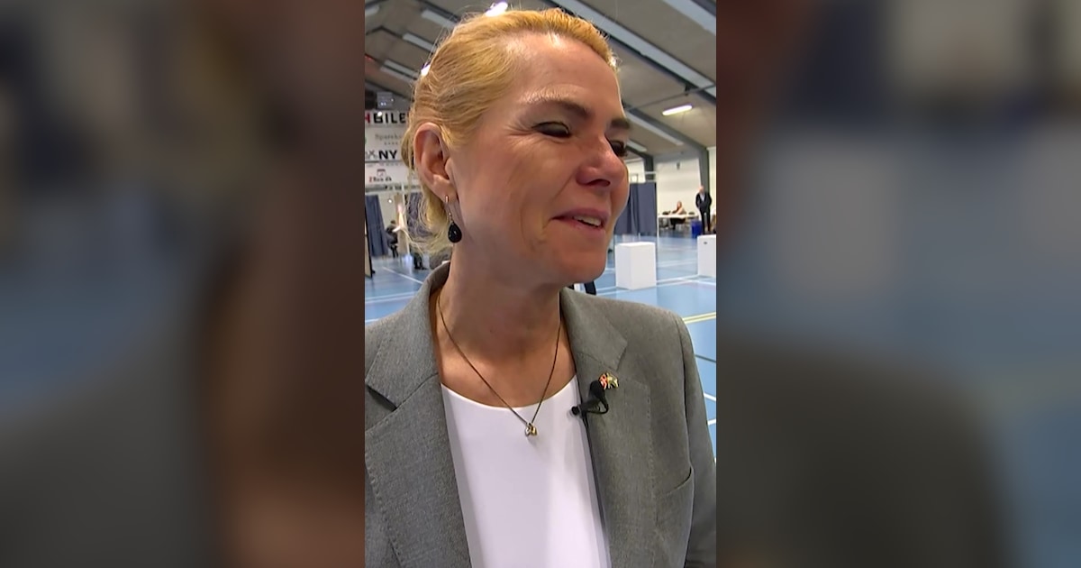 Partiledere viser støtte og stemmer | Politik | DR