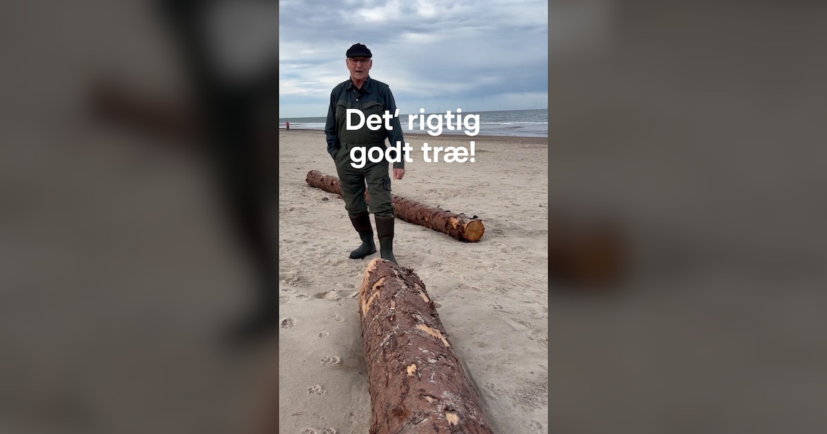 1.000 kæmpestammer er dukket op på Jens Christians strand