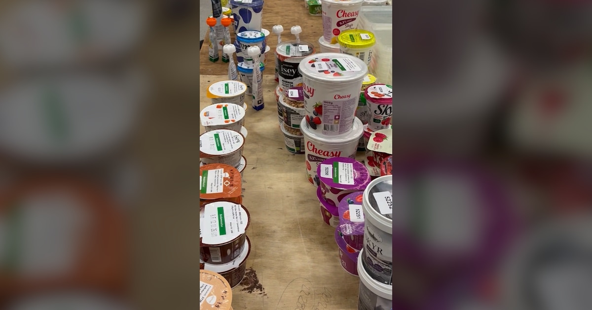 Nørder har smagt 68 slags skyr for at finde den bedste