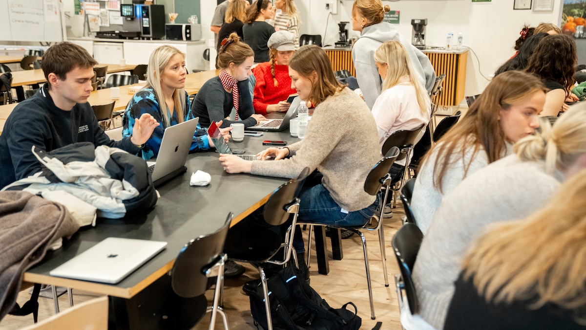 Croissant eller currywurst? Ansøgere til sproguddannelser styrtdykker