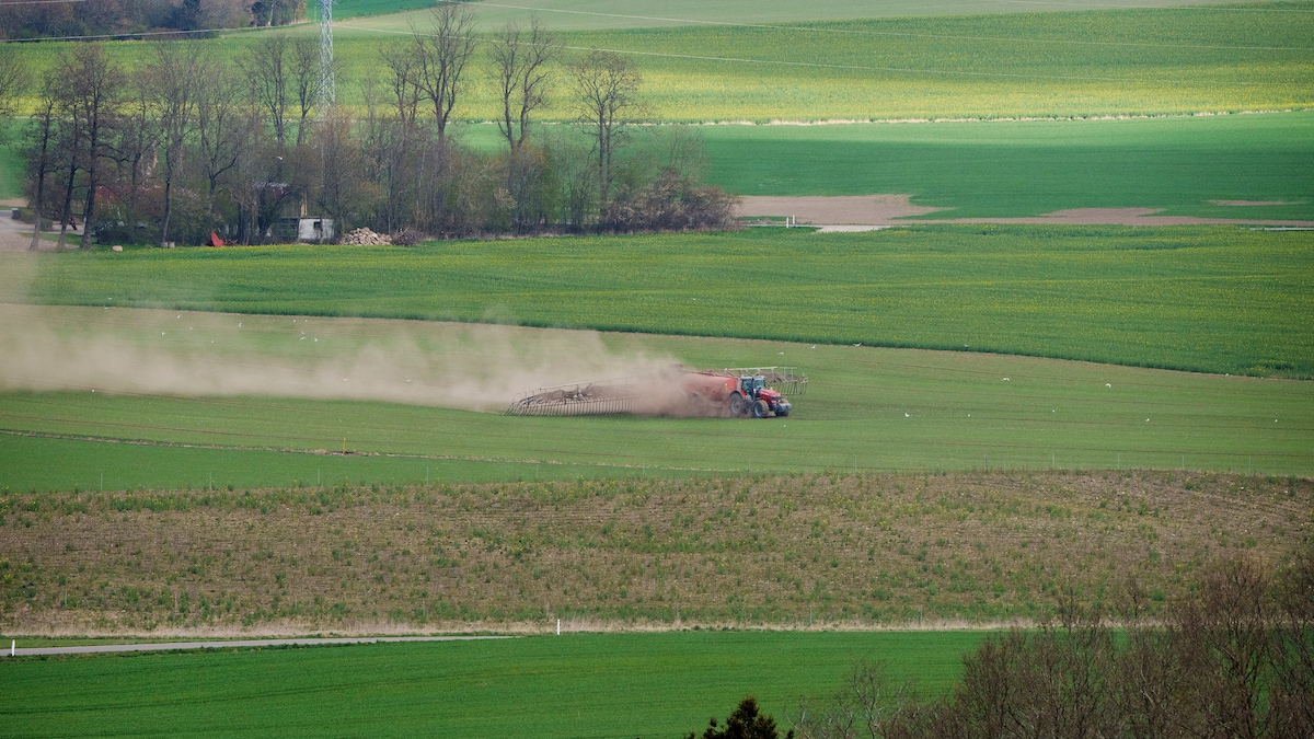 Landmænd og naturvenner er utilfredse med ny kvælstofaftale | Politik
