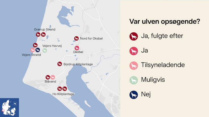 Ulve i Danmark | DR